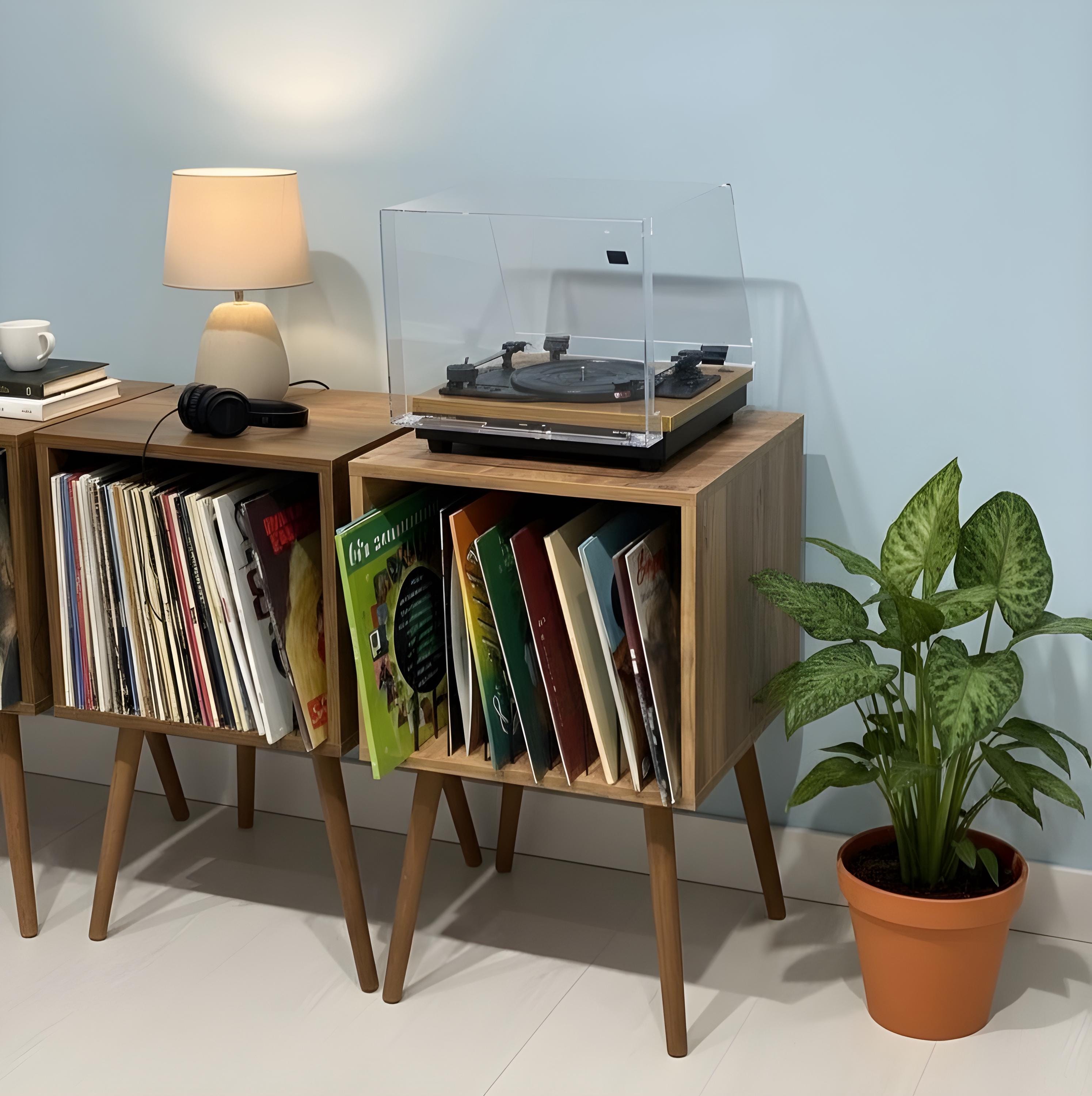 Vinyl storage unit, custom LP stand, retro Turntable cabinet