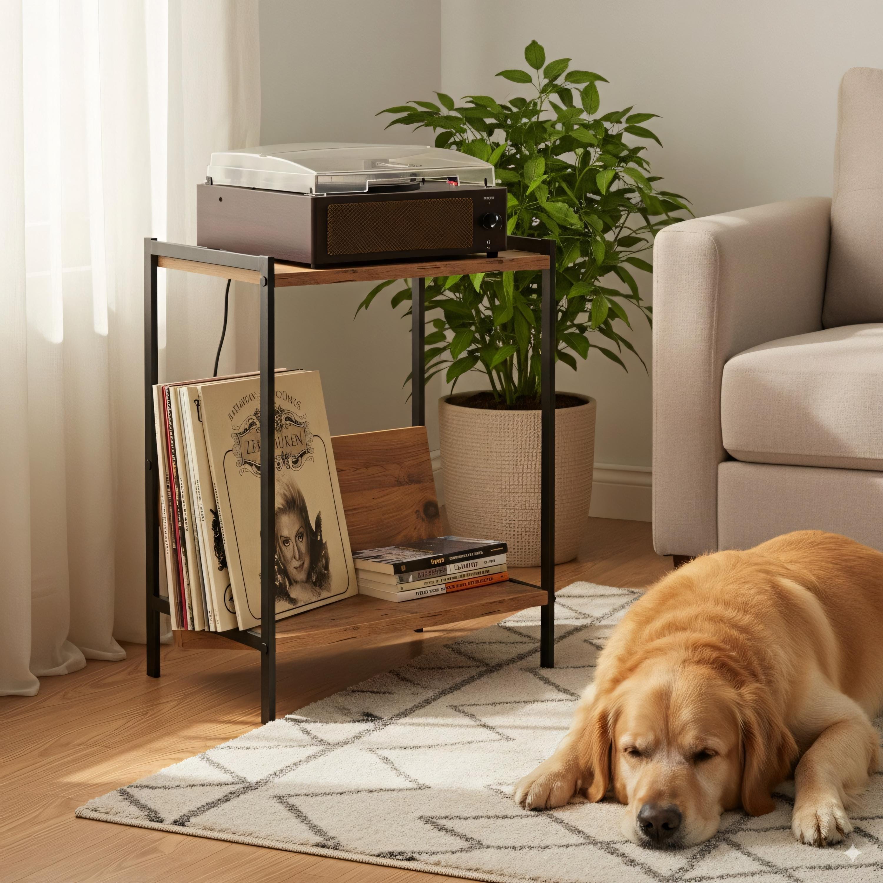 Mid-Century Modern Vinyl Record Player Stand: Boho Console Table