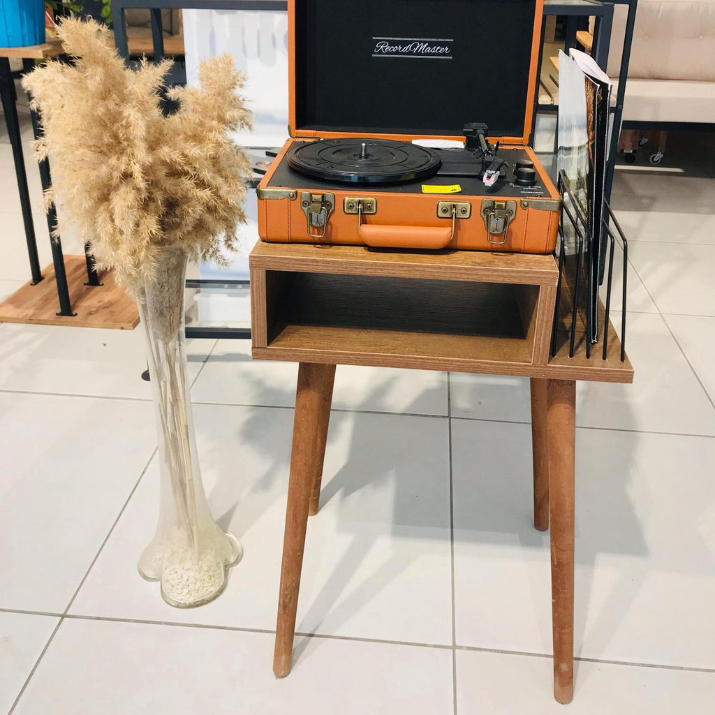 Compact Vinyl Stand, Wood Veneer, Retro LP Storage, Narrow Record Stand