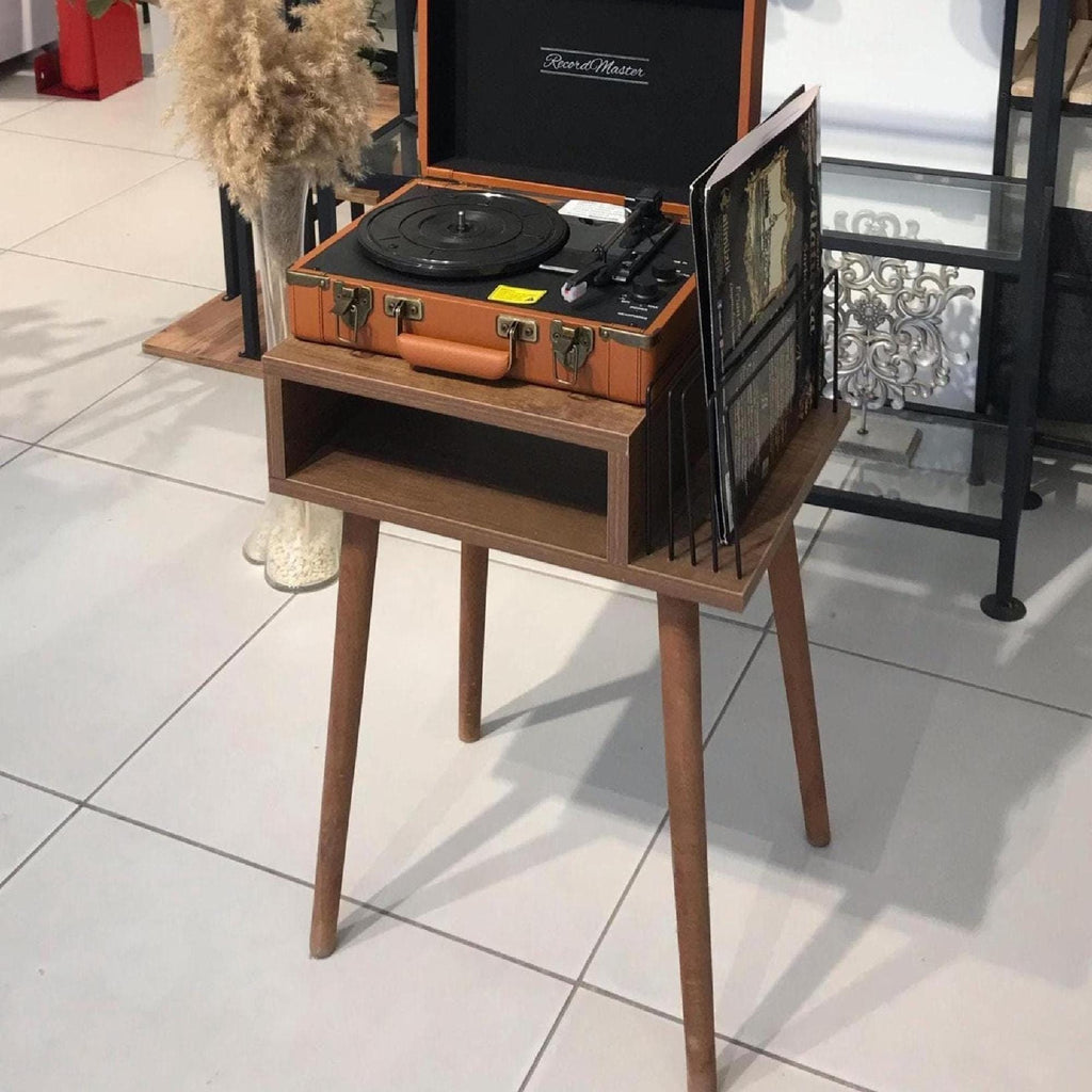 Compact Vinyl Stand, Wood Veneer, Retro LP Storage, Narrow Record Stand