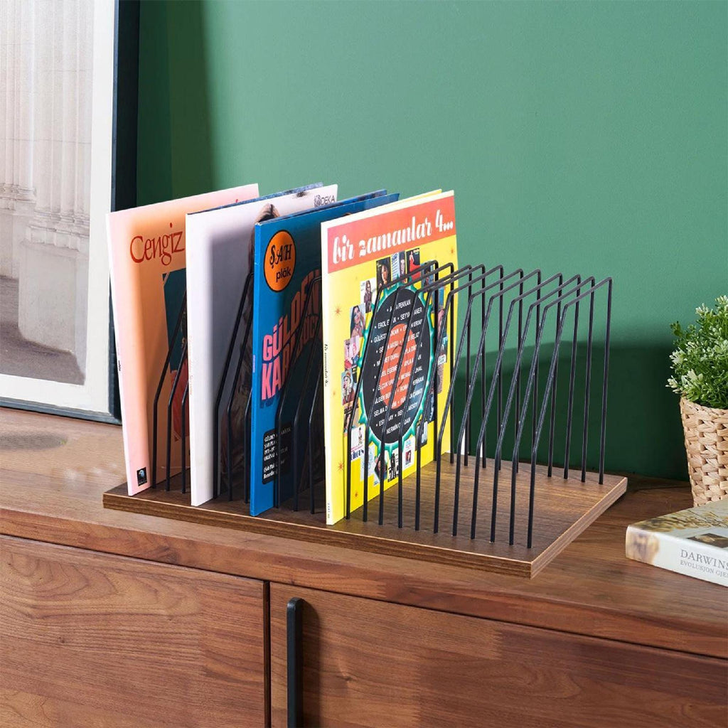 Stylish Record Rack, Powder Coated Rack, Metal Tabletop Organizer