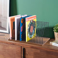 Stylish Record Rack, Powder Coated Rack, Metal Tabletop Organizer