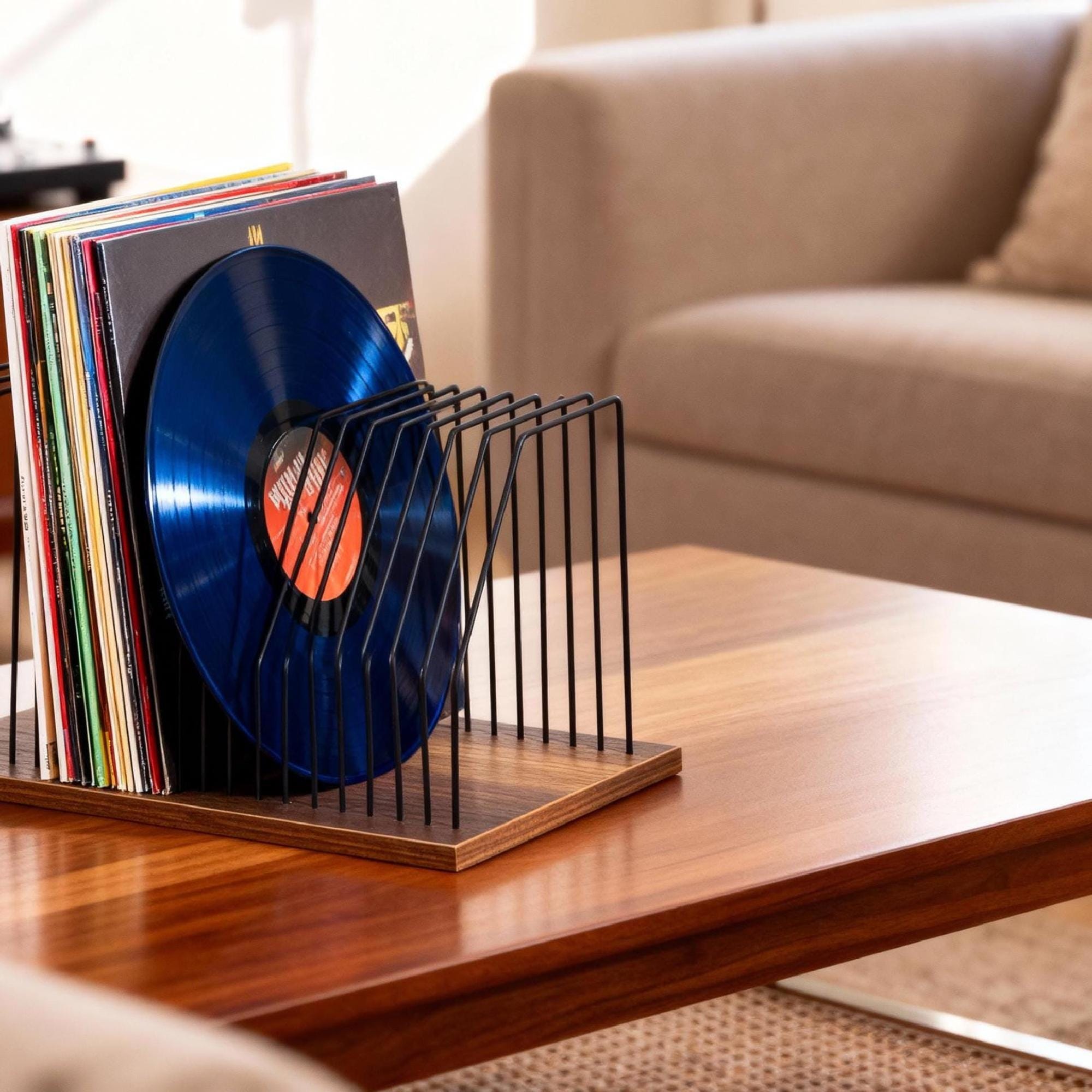 Stylish Record Rack, Powder Coated Rack, Metal Tabletop Organizer