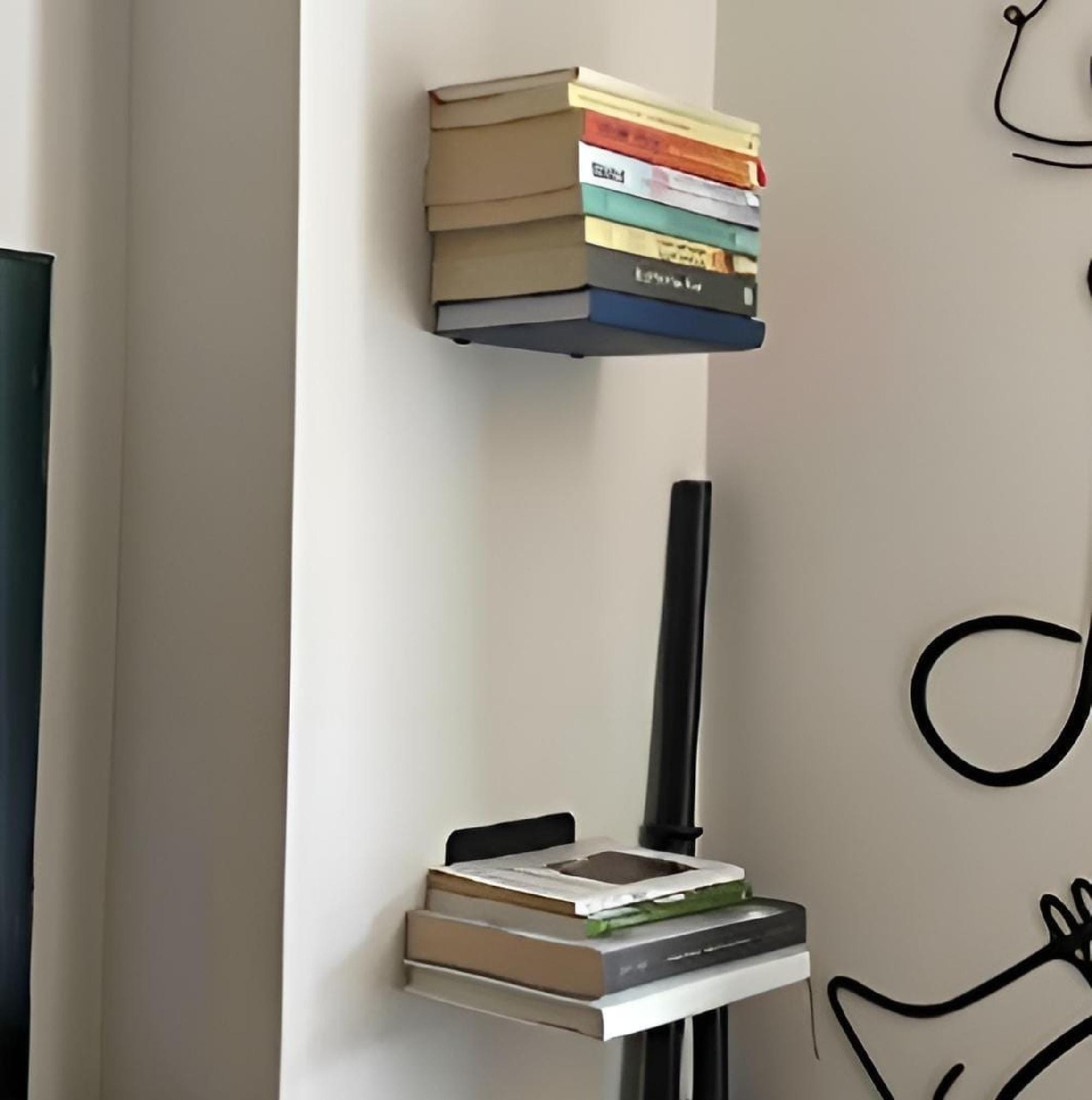 Minimalist Invisible Bookshelf | Modern Metal Wall Shelf