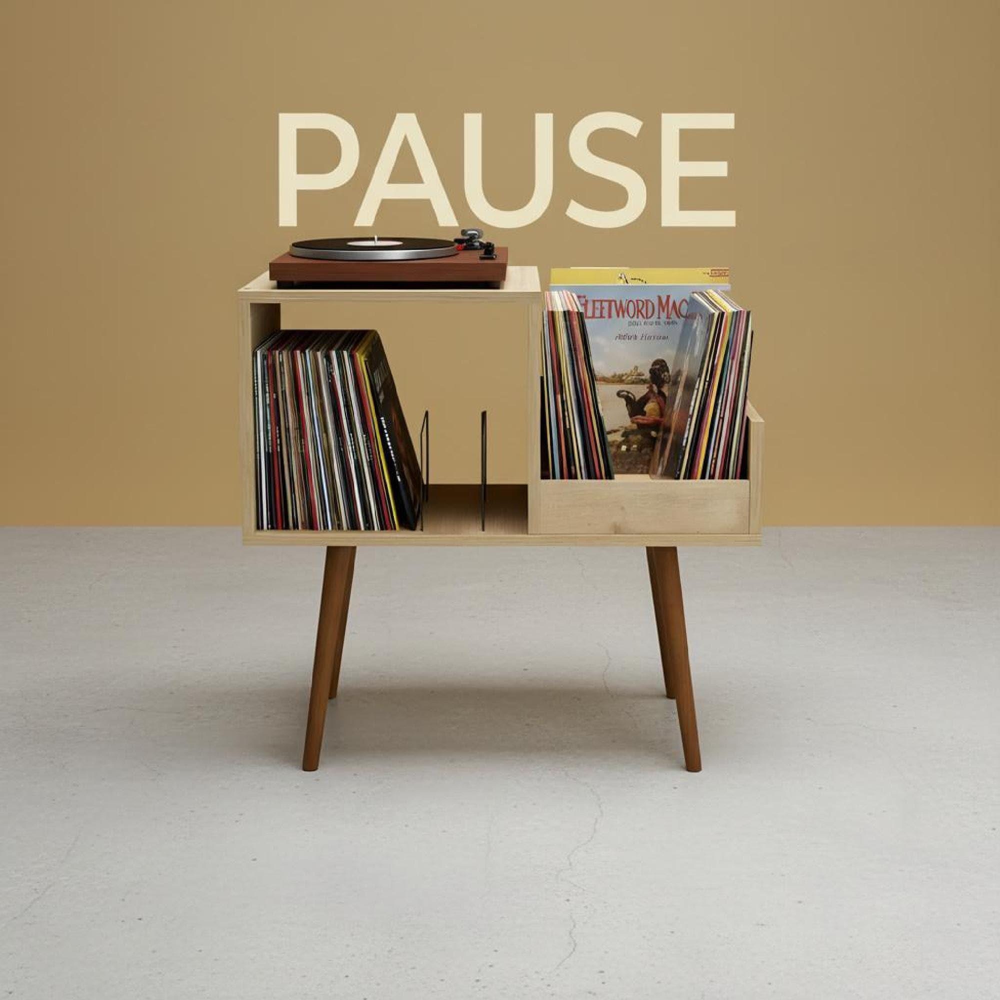 Mid Century Vinyl Record Player Stand, Custom Text LP Storage, vinyl organizer unit.
