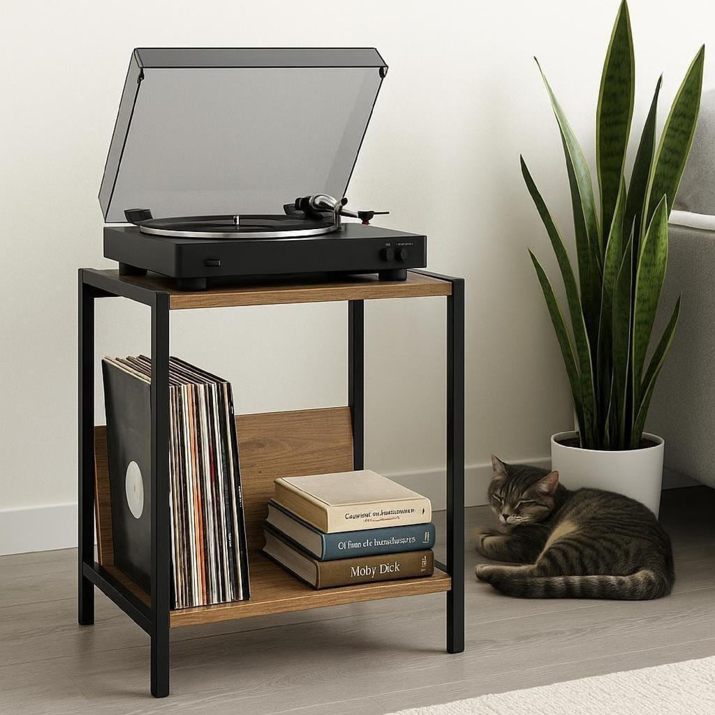 Mid-Century Modern Vinyl Record Player Stand: Boho Console Table