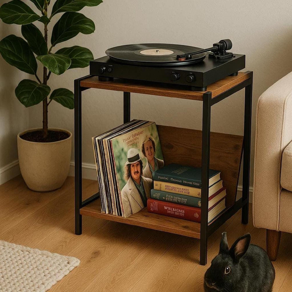 Record player rack, Turntable Stand, Compact album storage unit