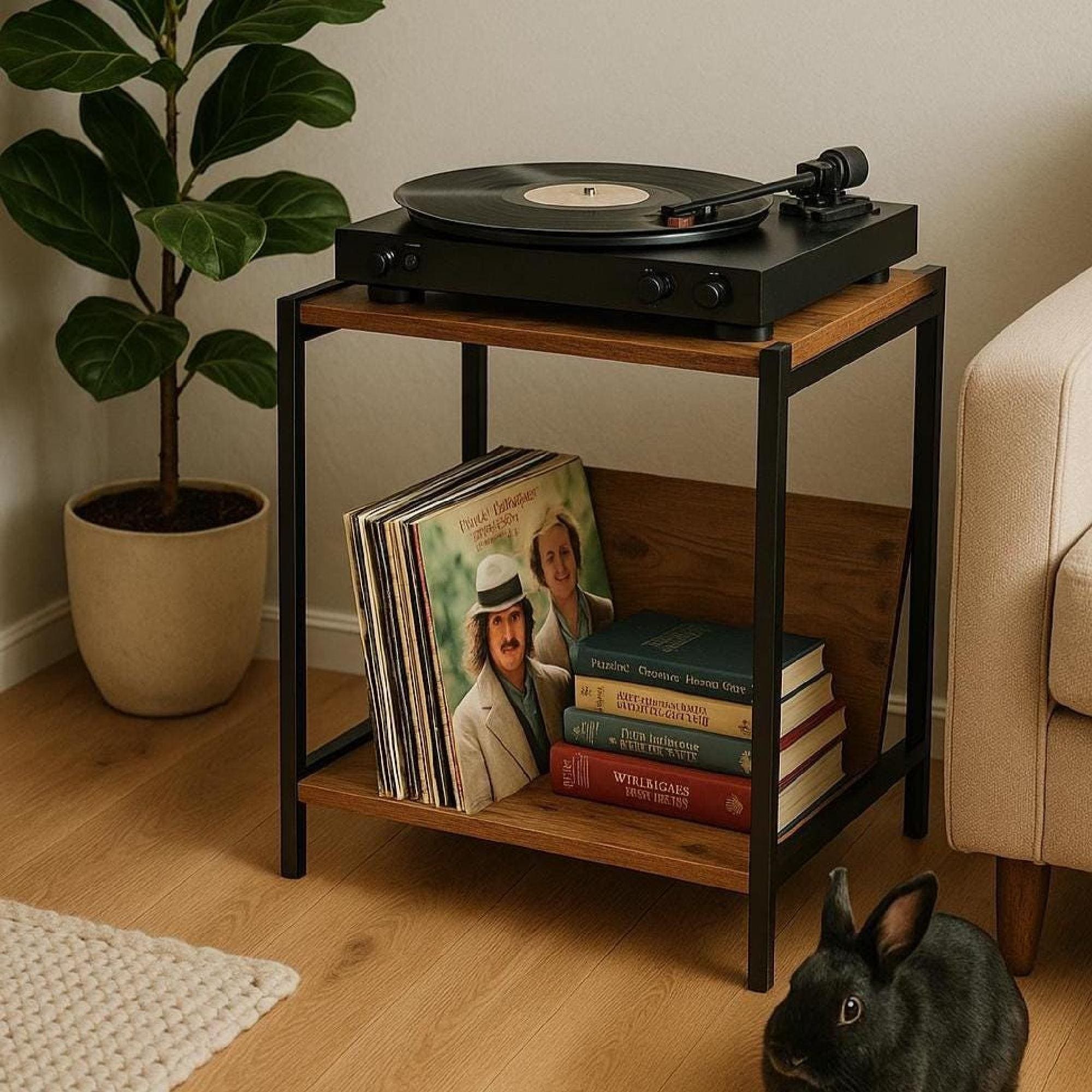 Record player rack, Turntable Stand, Compact album storage unit