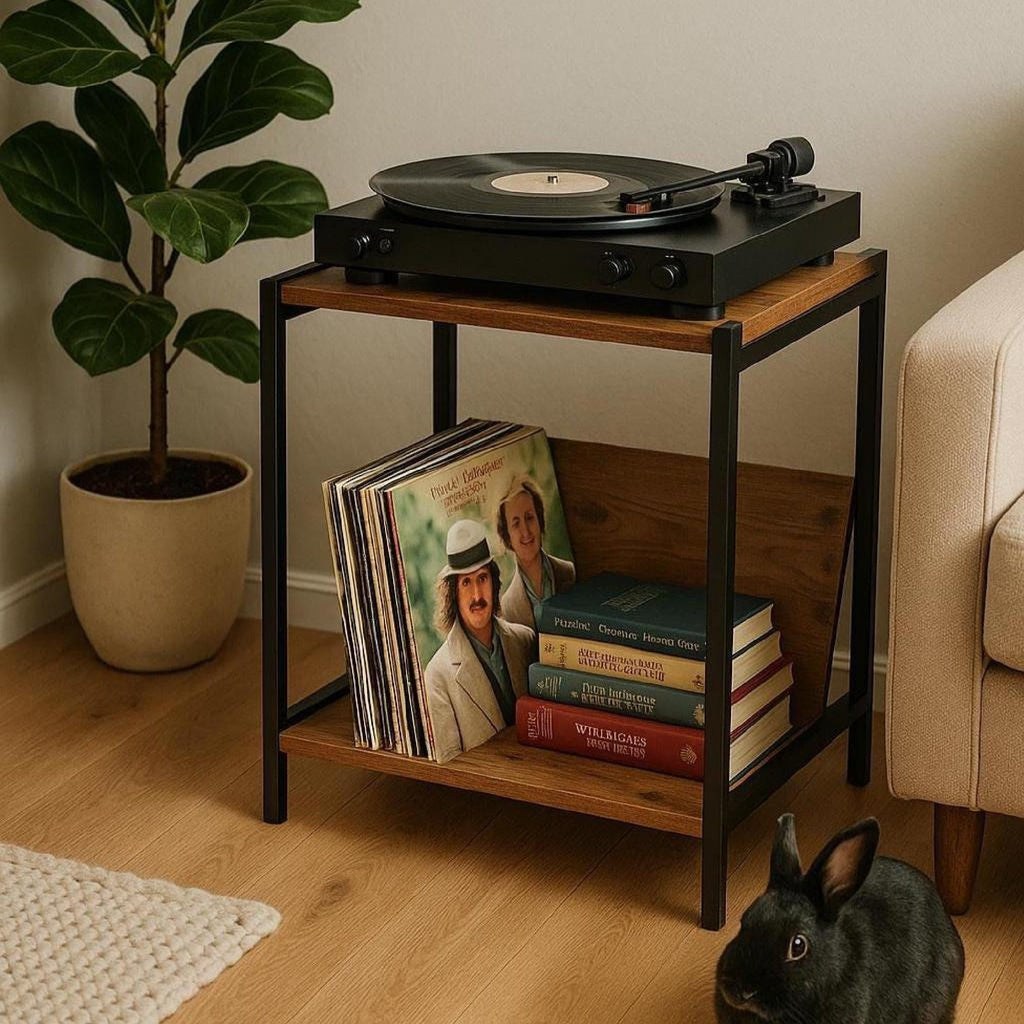 Mid-Century Modern Vinyl Record Player Stand: Boho Console Table